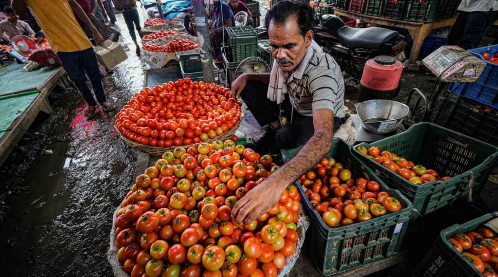 Tomato price