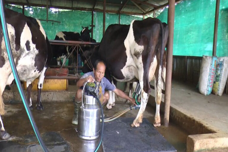 Amit Shah To Inaugurate Automated Madhur Dairy Unit-2 In Gandhinagar