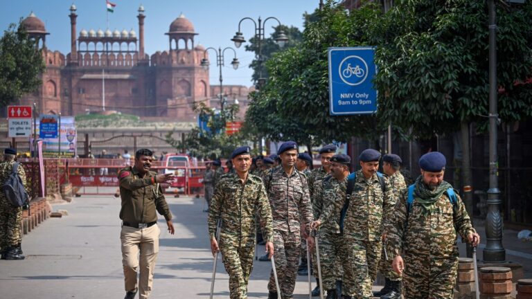 Delhi Police Bust Terror Module, Arrest Eight